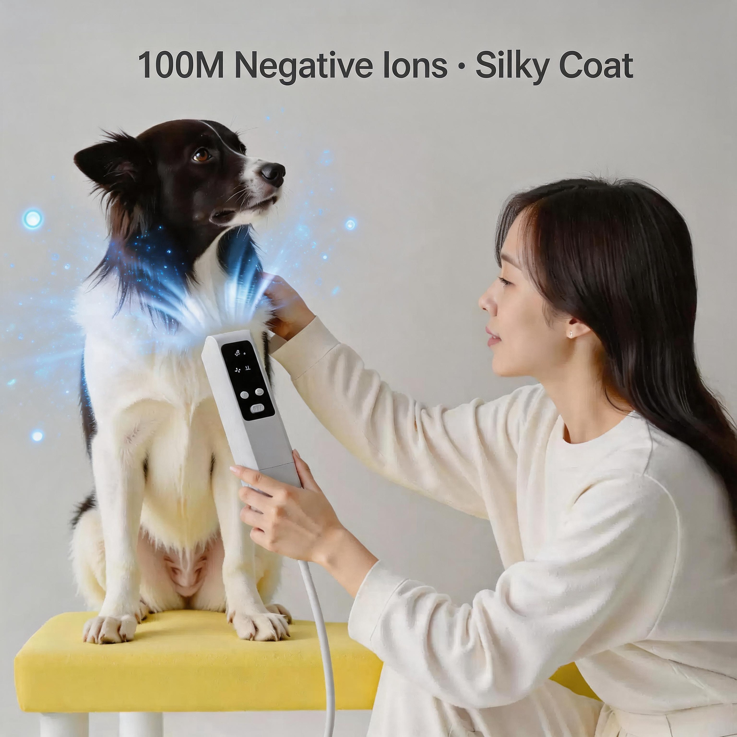 Wearable Pet Dryer