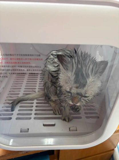 62L pet dryer box with cat inside - front view quiet safe drying for cats and small dogs