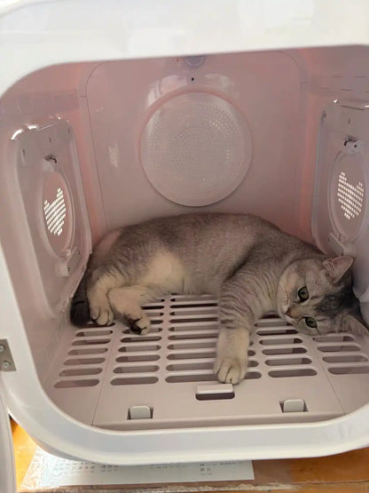 62L pet dryer box with cat inside - close up quiet safe drying for cats and small dogs